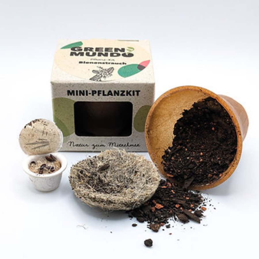 Pflanz-Kit Bienenstrauch von Green Mundo