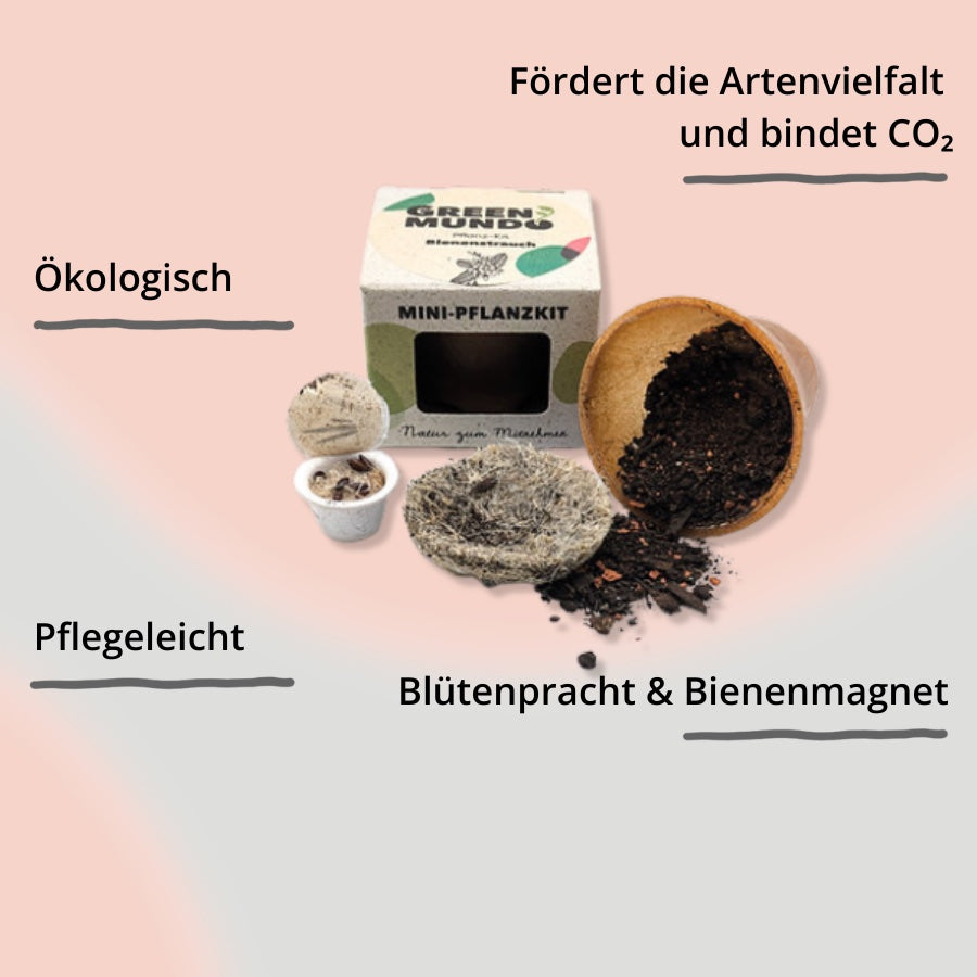 Pflanz-Kit Bienenstrauch von Green Mundo mit Impact