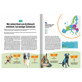 Katapult Ausgabe 36 – Studie